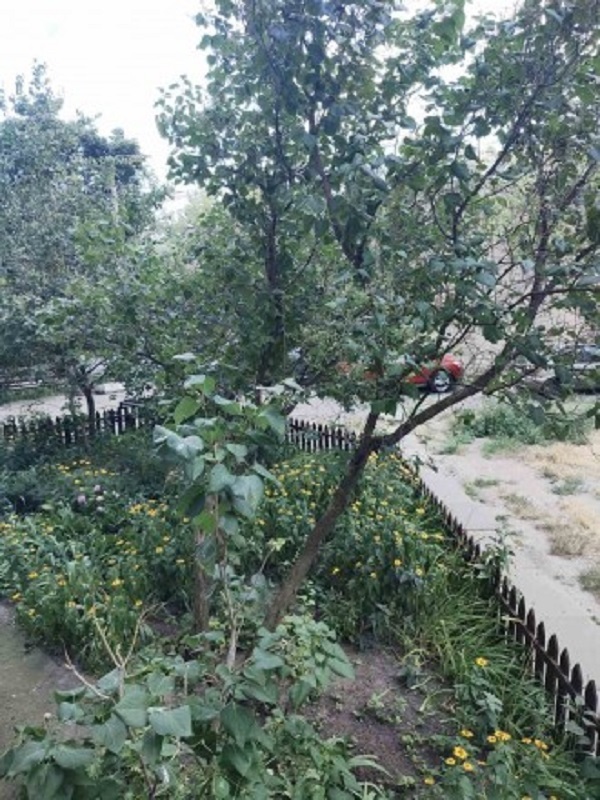 Аренда 1-комнатной квартиры 34 м², 9-я Энтузиастов ул.