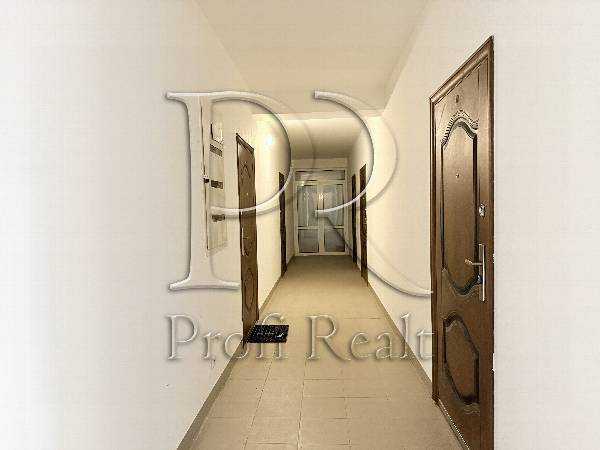 Продажа 1-комнатной квартиры 29 м², Спортивная ул., 22