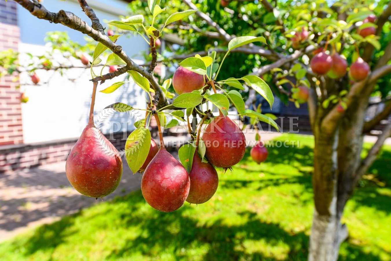 Продаж будинку 300 м², Прикордонна вул.