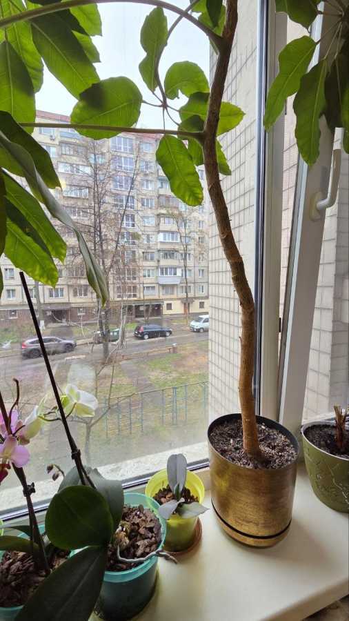Продажа 1-комнатной квартиры 22 м², Кольцова бул., 17Г