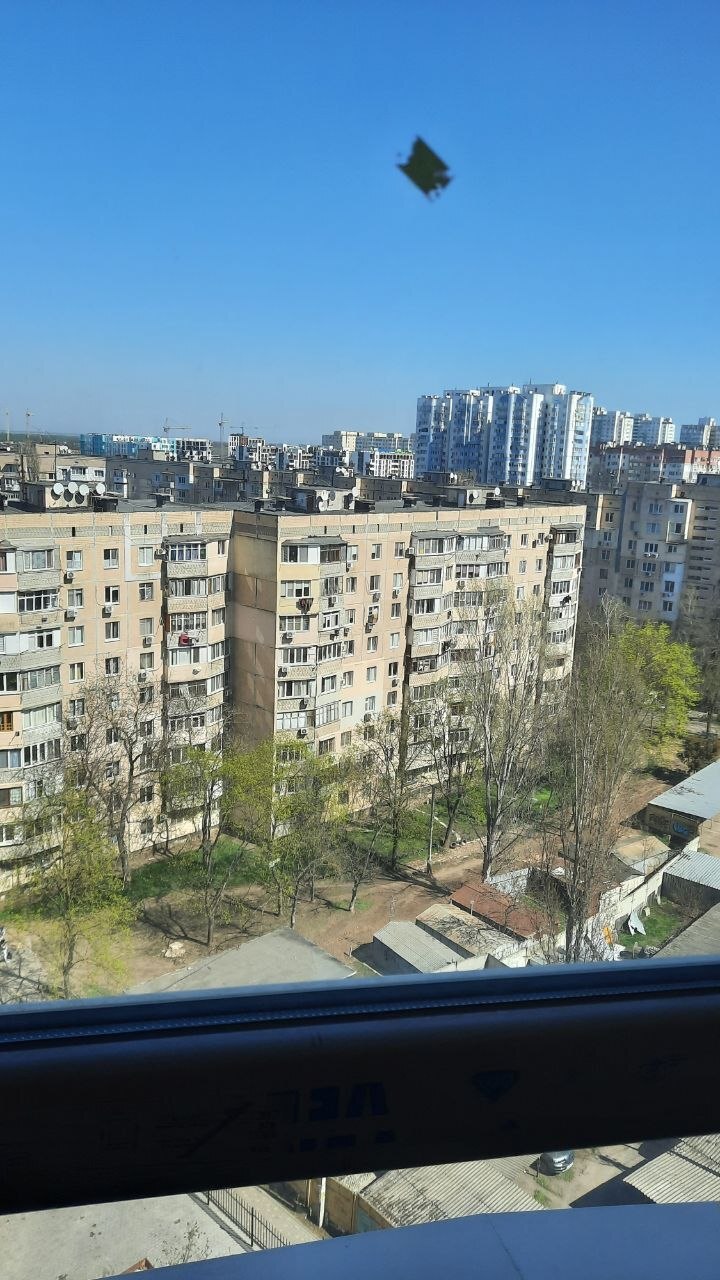 Продажа 1-комнатной квартиры 34 м², Генерала Бочарова ул., 35Б