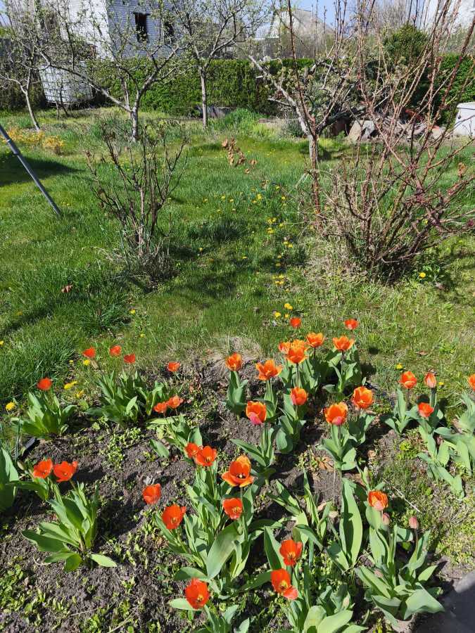 Продаж дачі 100 м², 3