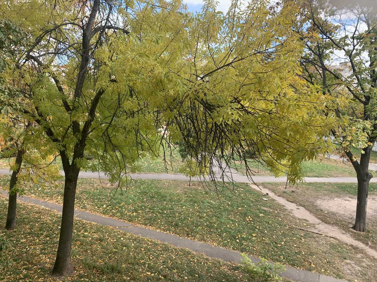 Аренда 1-комнатной квартиры 28 м², Иорданская ул., 22Б