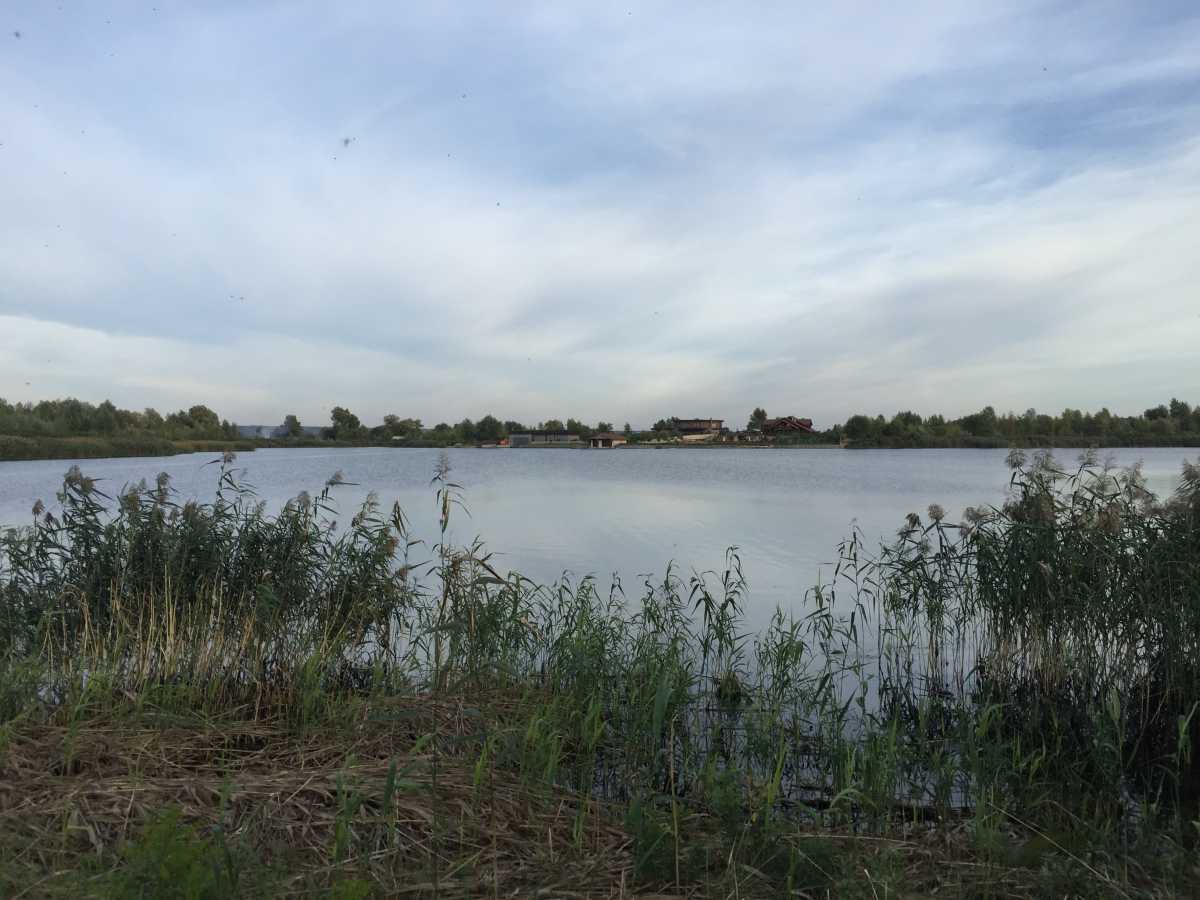 Продажа участка под индивидуальное жилое строительство 100 соток, Центральная ул.