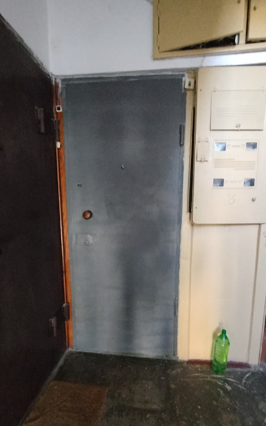 Продаж 1-кімнатної квартири 33 м², Петра Калнишевського вул., 19