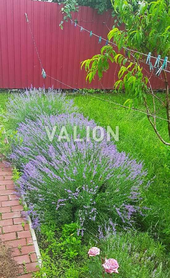 Продаж будинку 173 м², Богдана Хмельницкого, 202