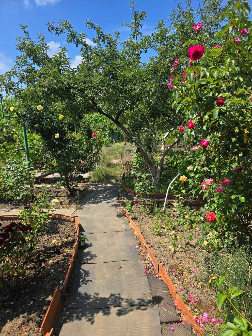 Продаж дачі 40 м², Польова