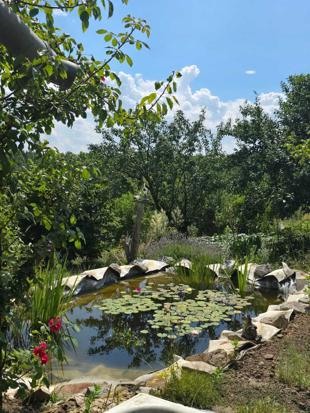 Продаж дачі 40 м², Польова