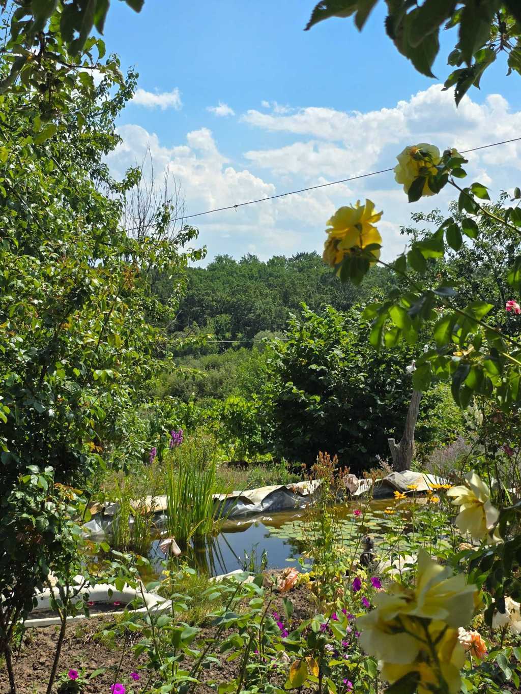 Продаж дачі 40 м², Польова