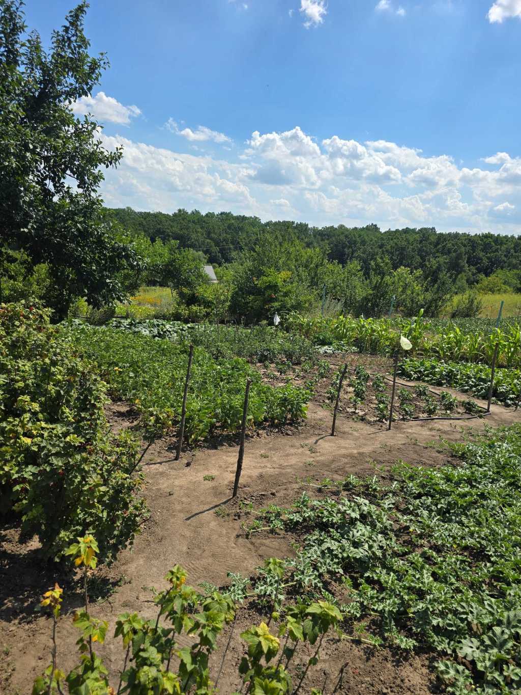 Продаж дачі 40 м², Польова