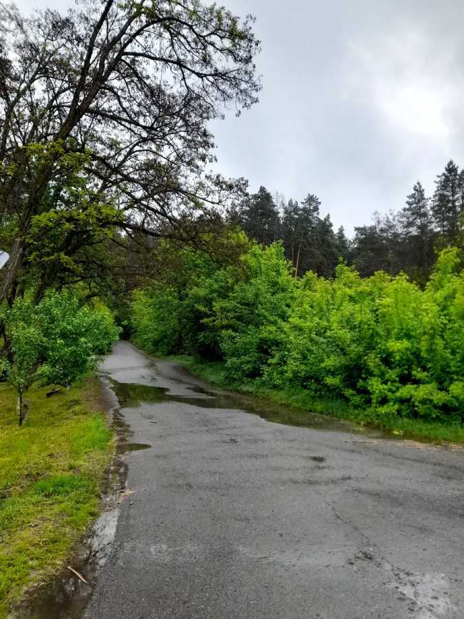 Продаж ділянки під індивідуальне житлове будівництво 25 соток, Лісового