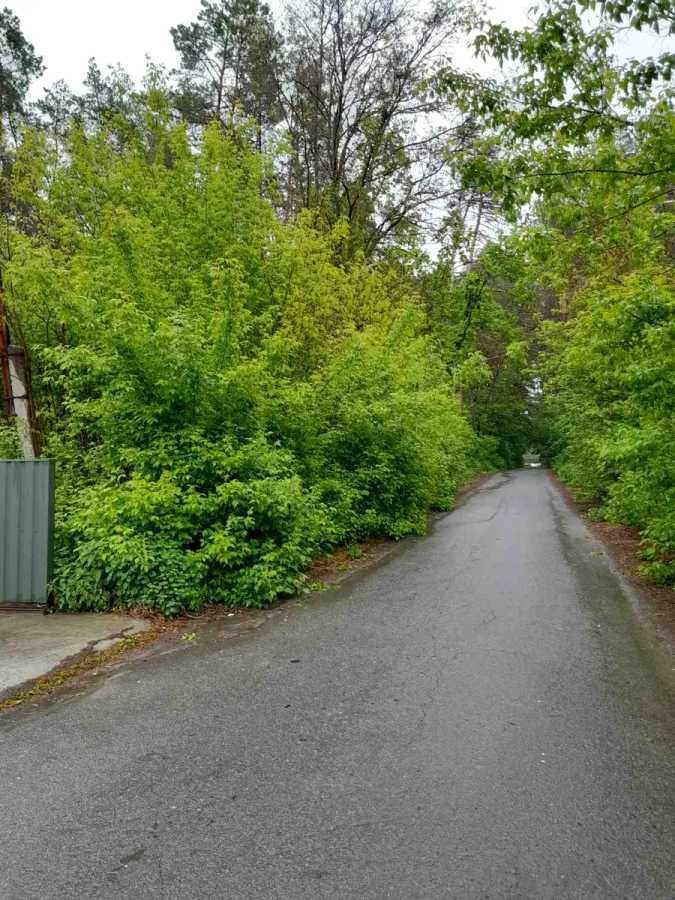 Продаж ділянки під індивідуальне житлове будівництво 25 соток, Лісового