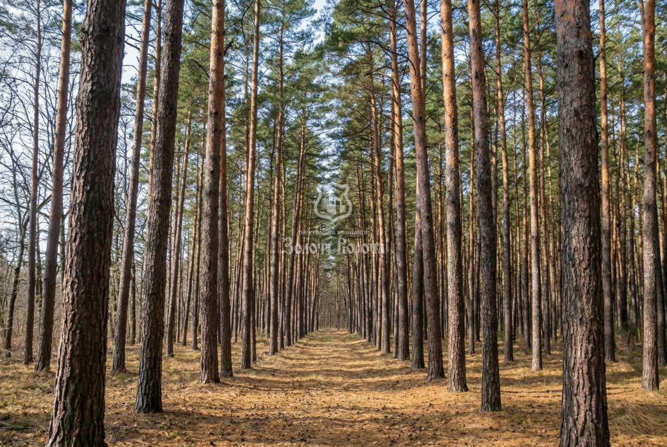 Продажа участка под индивидуальное жилое строительство 112.5 соток, Соловьяненко Анатолия