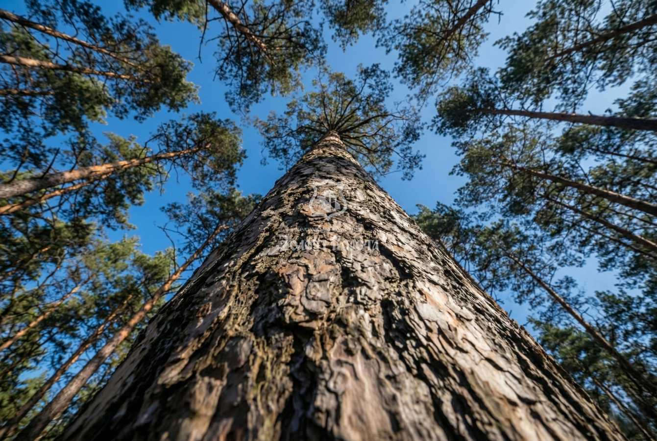 Продажа участка под индивидуальное жилое строительство 112.5 соток, Соловьяненко Анатолия