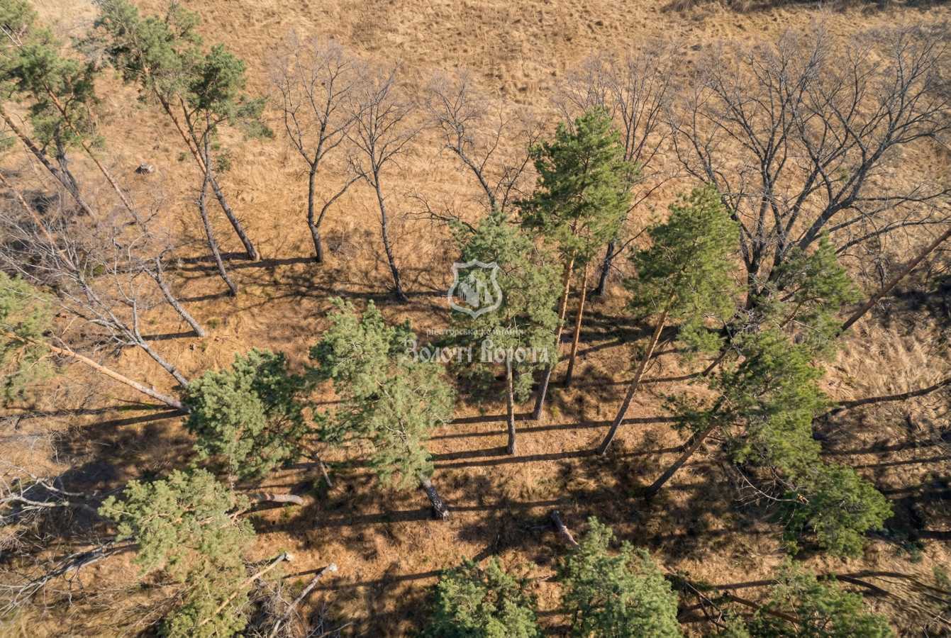 Продажа участка под индивидуальное жилое строительство 112.5 соток, Соловьяненко Анатолия