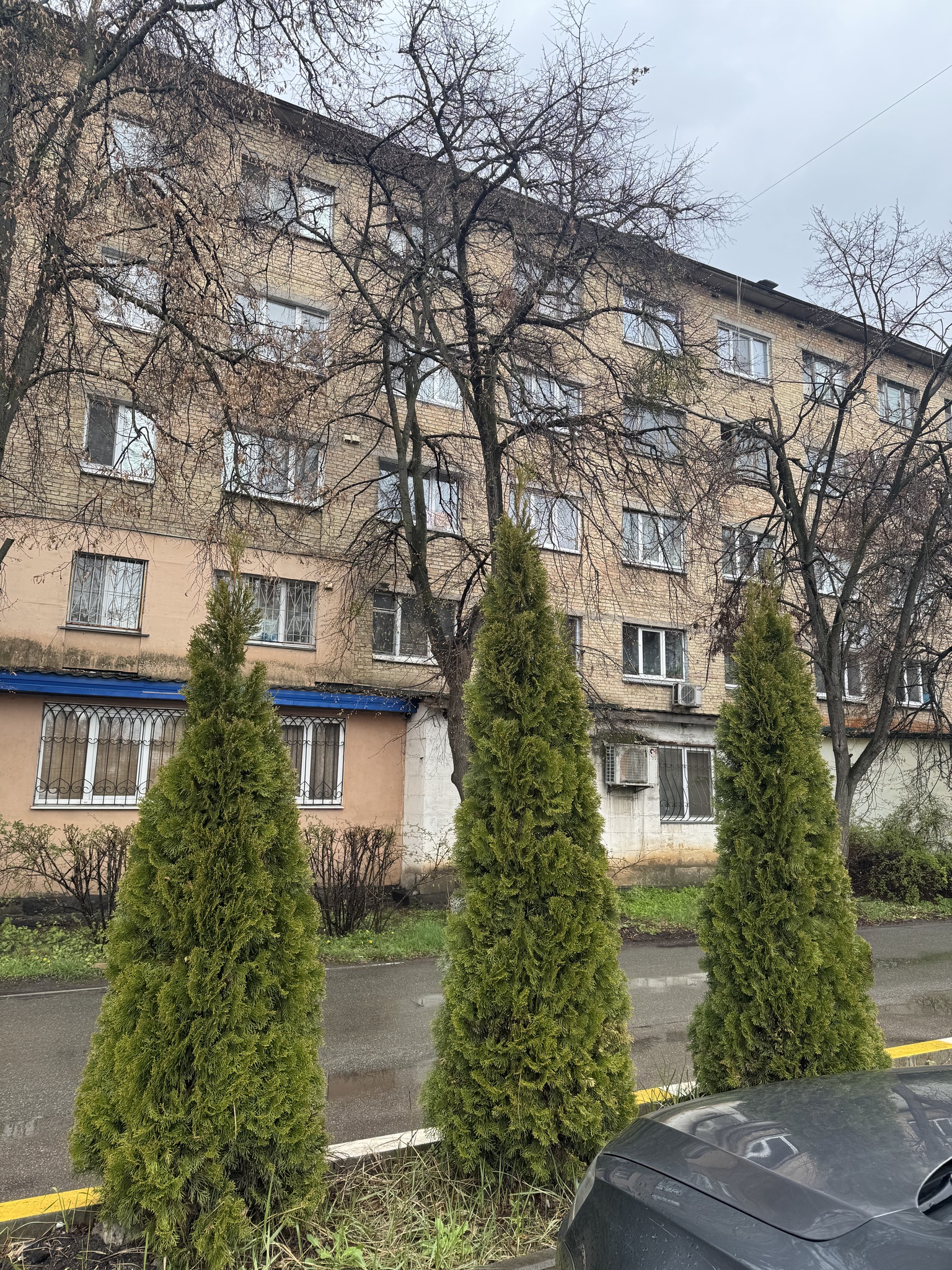 Киев, Любомира Гузара просп., 9А