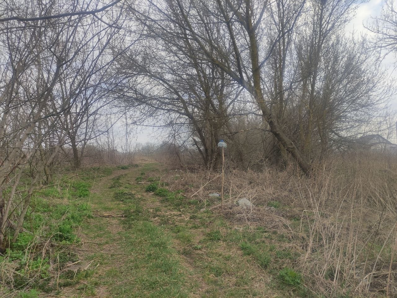 Продажа участка для личного сельского хозяйства 10 соток