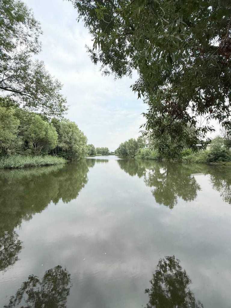 Продажа дома 247.6 м², Яблунева, 6