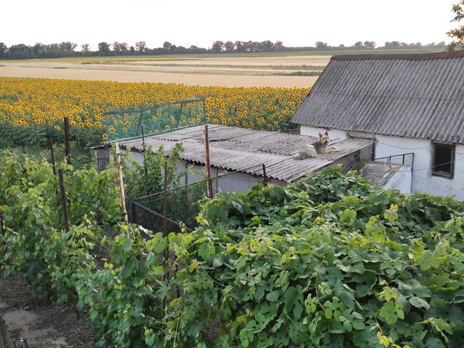 Продажа дома 120 м²