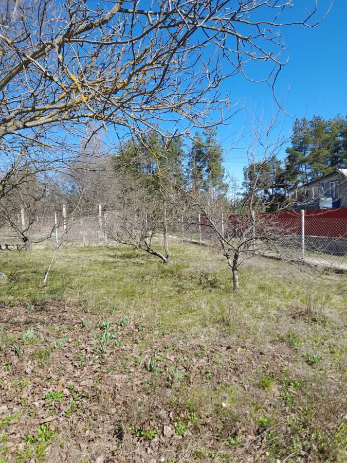 Продажа участка для личного сельского хозяйства 6 соток, Медиків