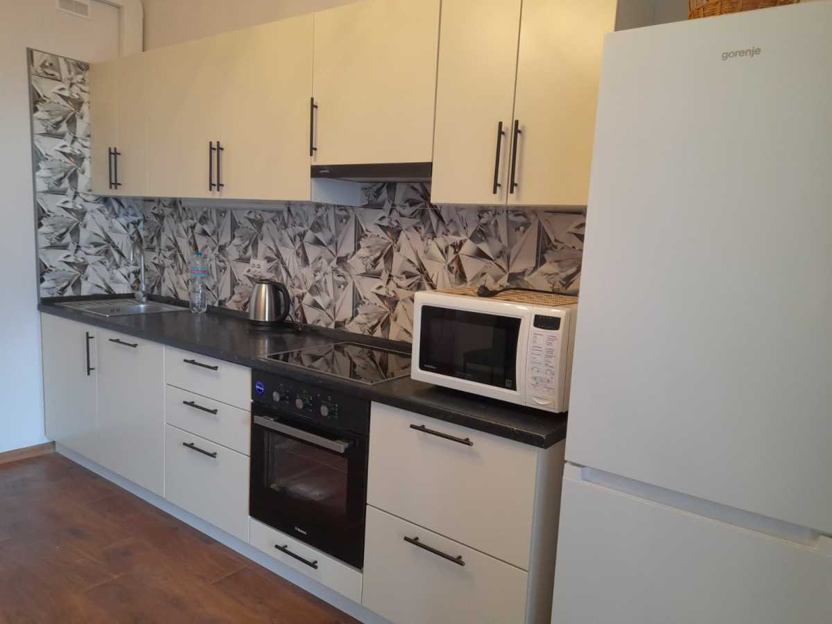 Оренда 1-кімнатної квартири 51 м², Ревуцького вул., 54