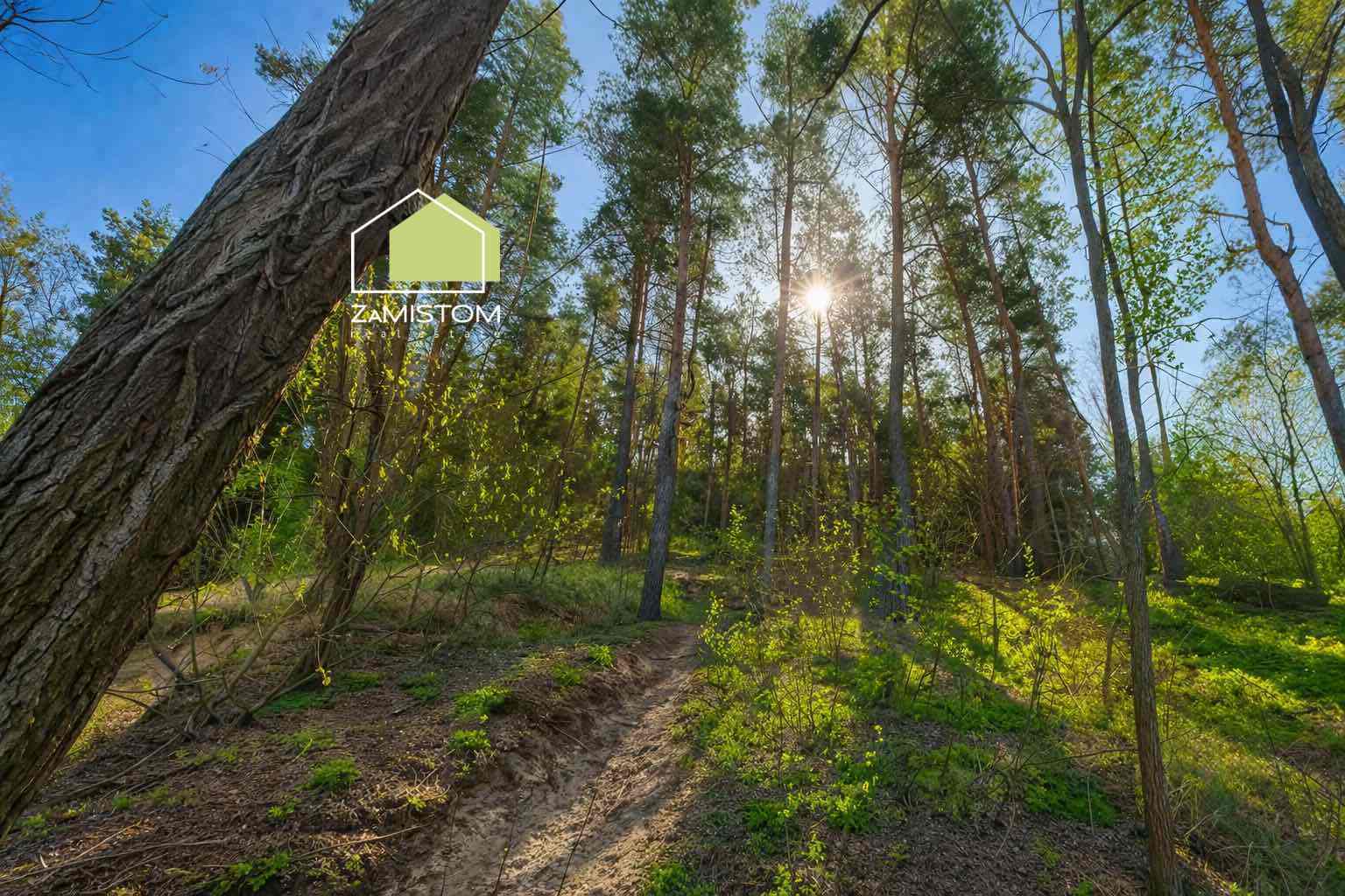 Продаж ділянки під індивідуальне житлове будівництво 25 соток