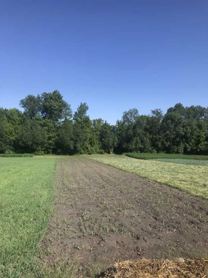 Продажа участка под индивидуальное жилое строительство 45 соток, Знлена 40