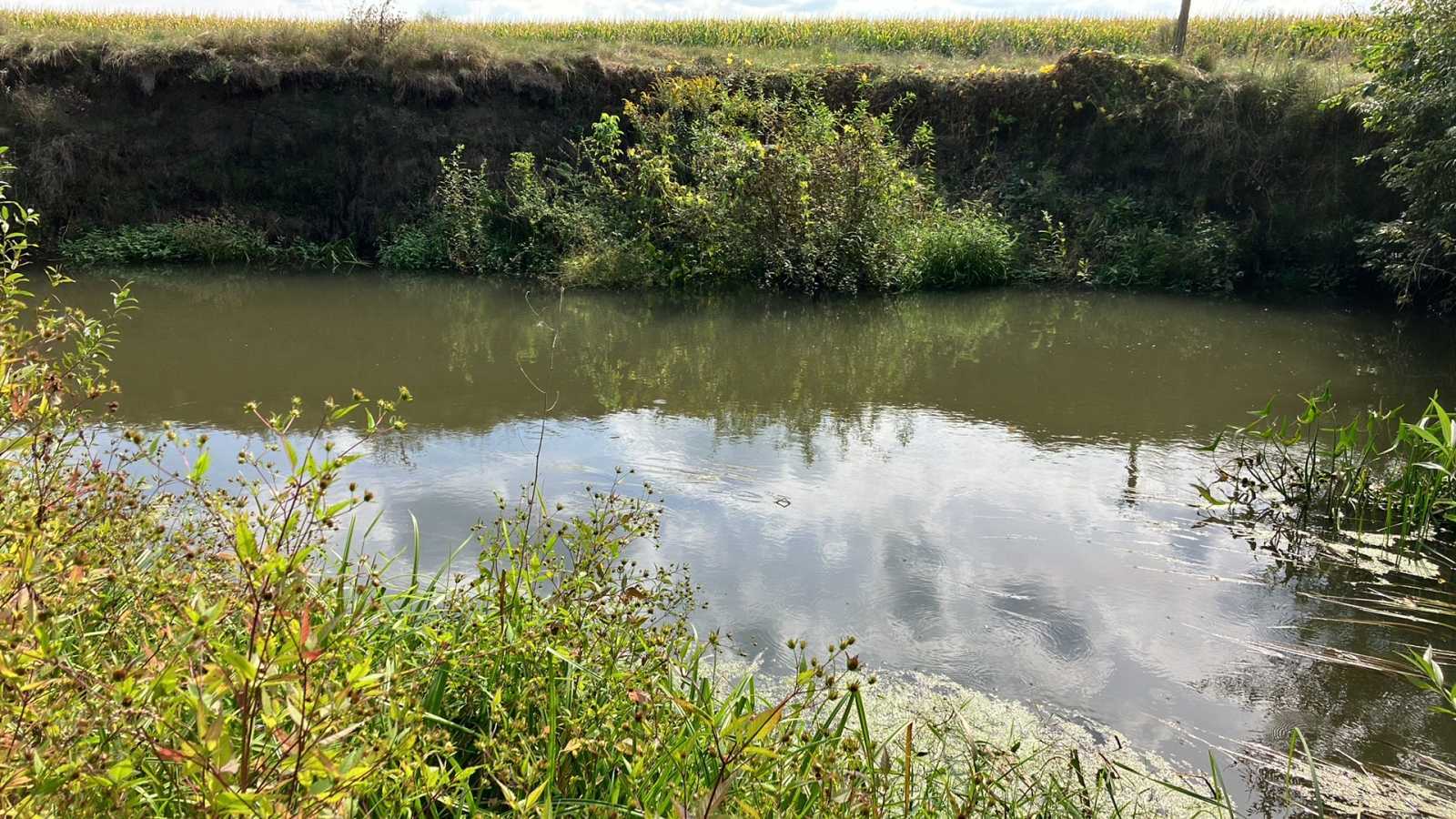 Продажа участка под индивидуальное жилое строительство 45 соток, Знлена 40