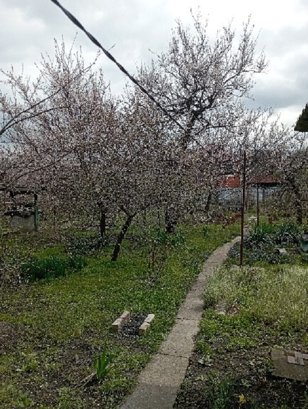 Продажа дома 62.7 м², Томская ул.