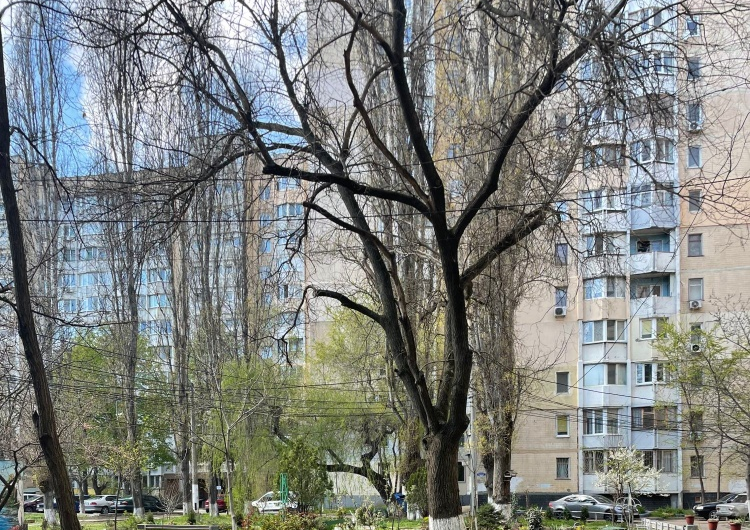 Продажа 2-комнатной квартиры 50 м², Генерала Бочарова ул., 45