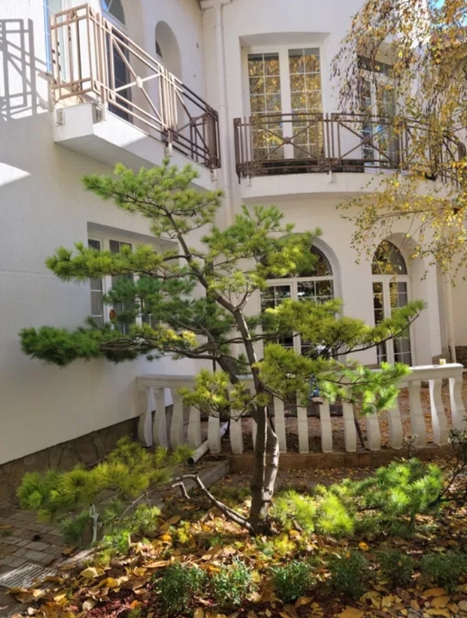 Аренда дома 160 м², Фонтанская дор.