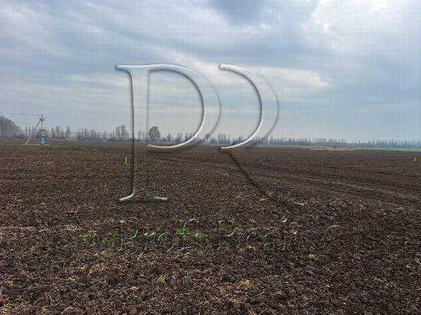 Продаж ділянки під індивідуальне житлове будівництво 0.19 соток, Украина 08350