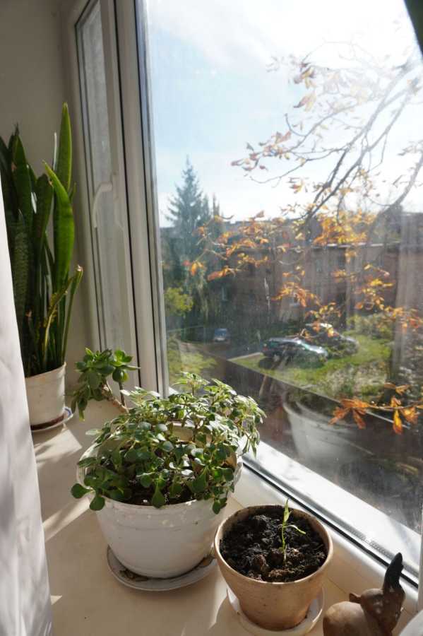 Продажа 2-комнатной квартиры 44.5 м², Репина ул., 16