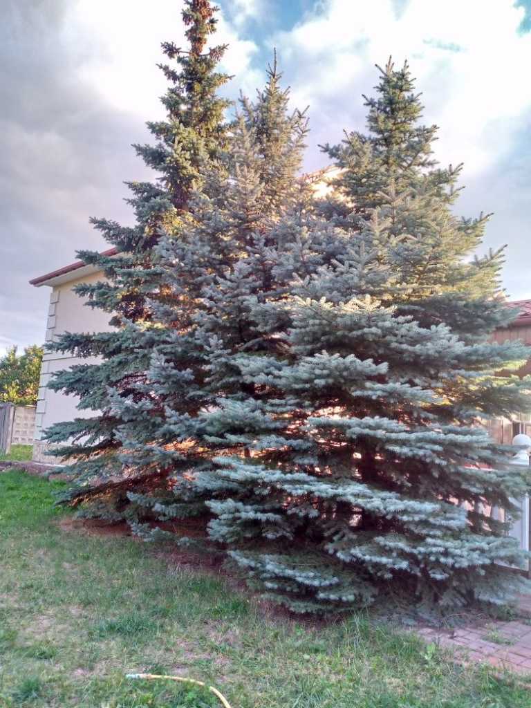 Аренда коттеджа 150 м², Центральная ул.