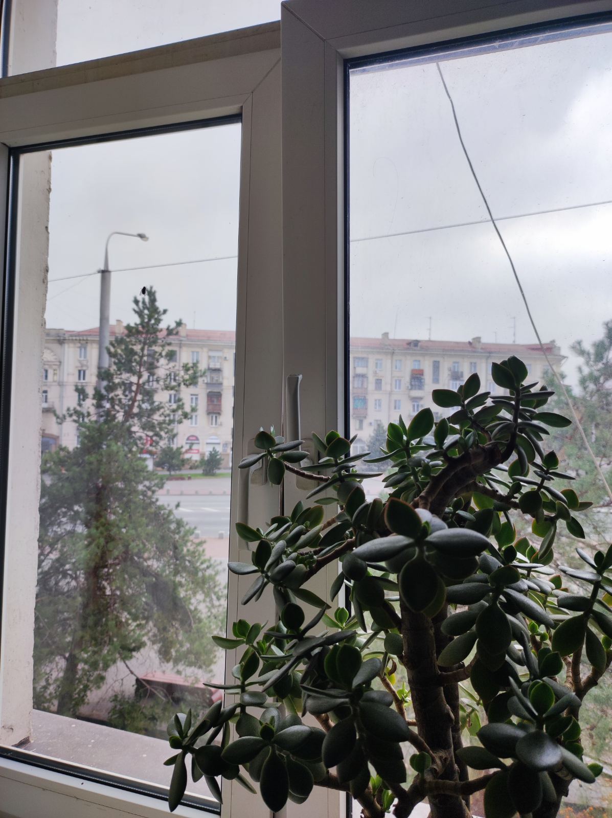 Аренда 2-комнатной квартиры 50 м², Соборный просп., 214