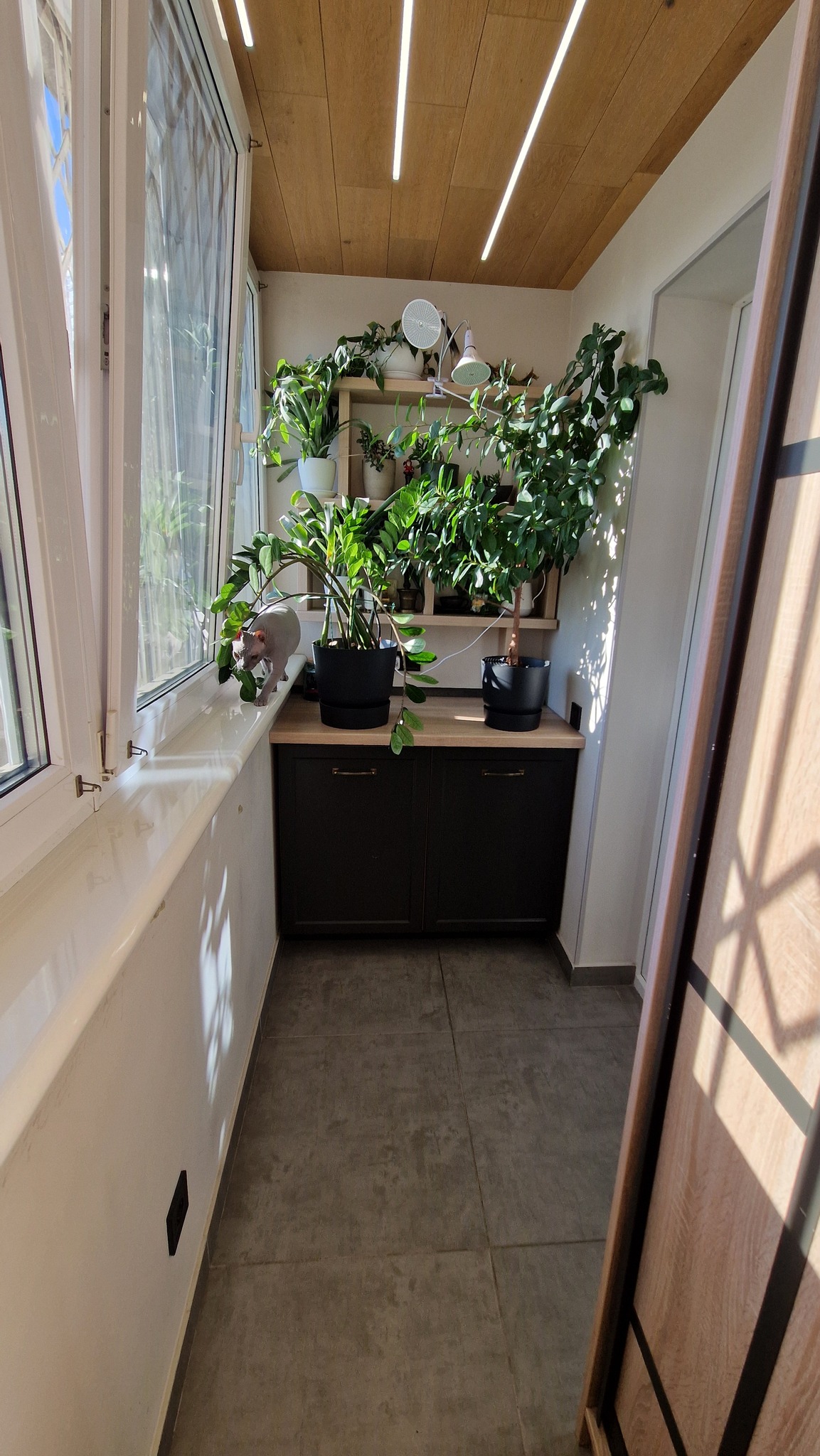 Продажа 1-комнатной квартиры 54 м², Декабристов ул., 12/37