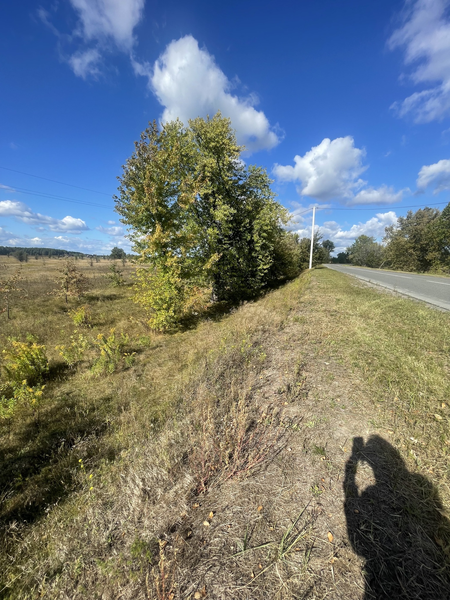 Продажа участка под индивидуальное жилое строительство 15 соток