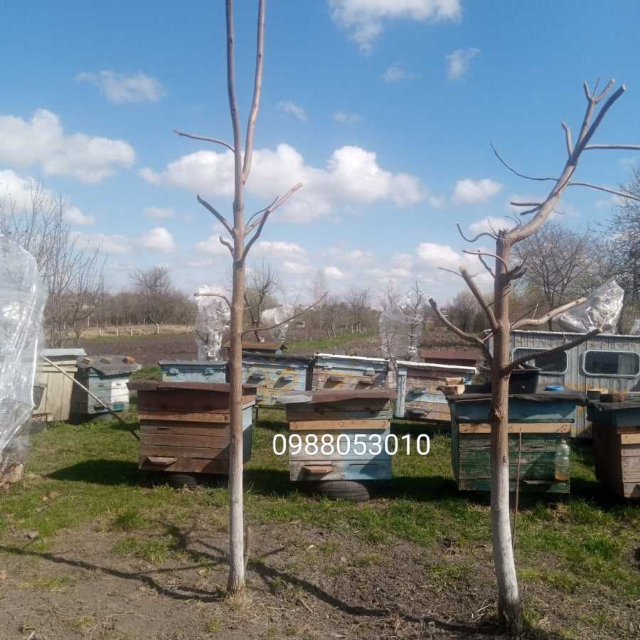 Продаж будинку 145 м², Ястребичи, улица Завірна, 12а