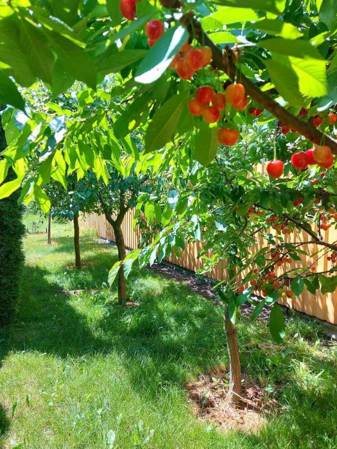 Продажа дома 263 м², 1 травня