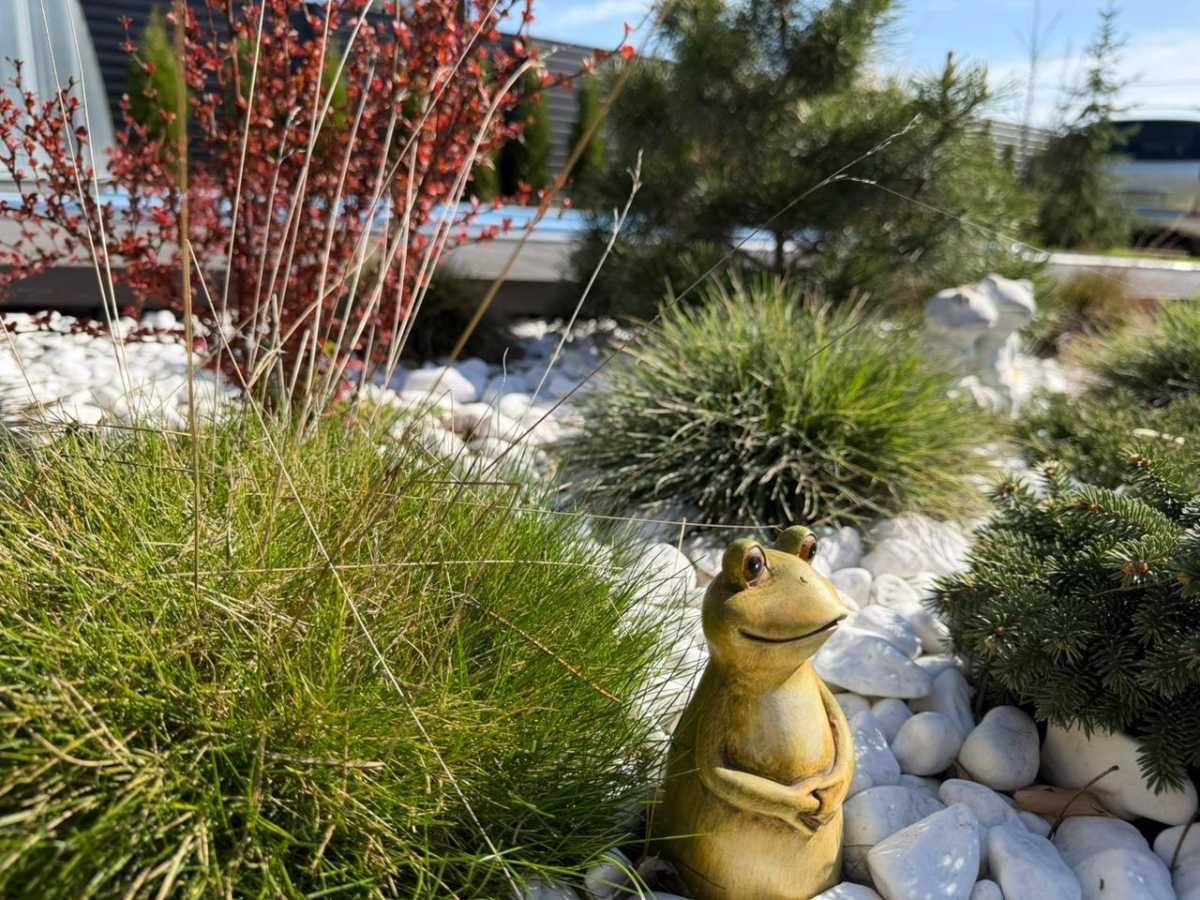 Оренда будинку 36 м², Нижняя Дубечня, улица мира, 50