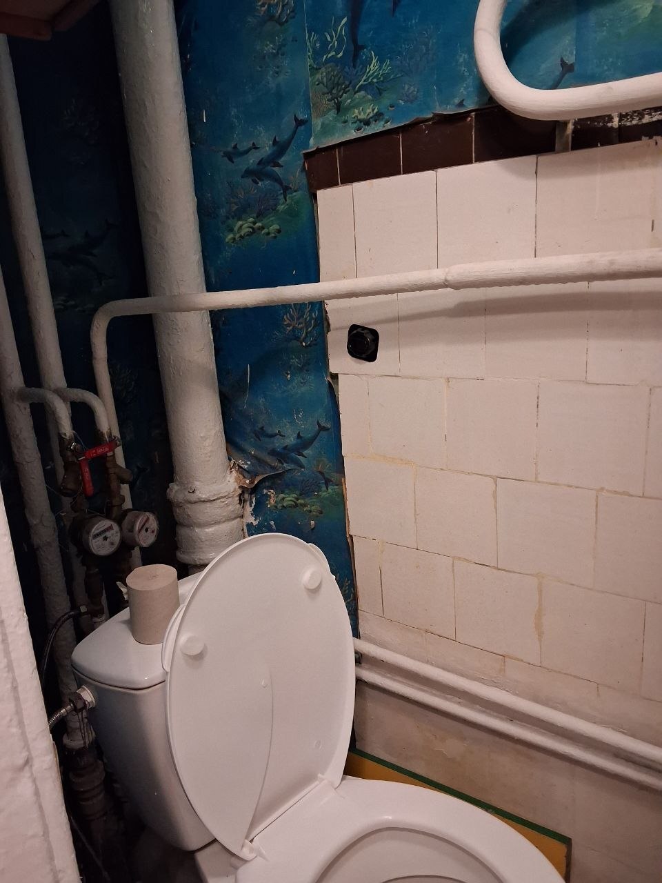 Аренда 1-комнатной квартиры 22 м², Мостицкая ул., 6