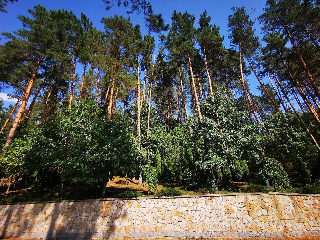 Продажа коттеджа 1150 м², Сосновая