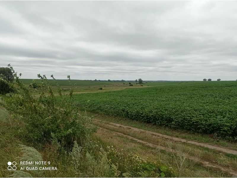 Продажа участка для личного сельского хозяйства 43.41 соток, Нова 2