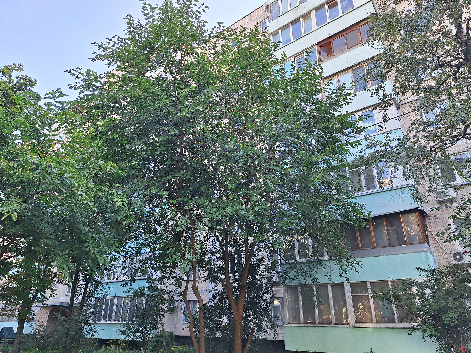 Аренда 2-комнатной квартиры 79 м², Энтузиастов ул., 35