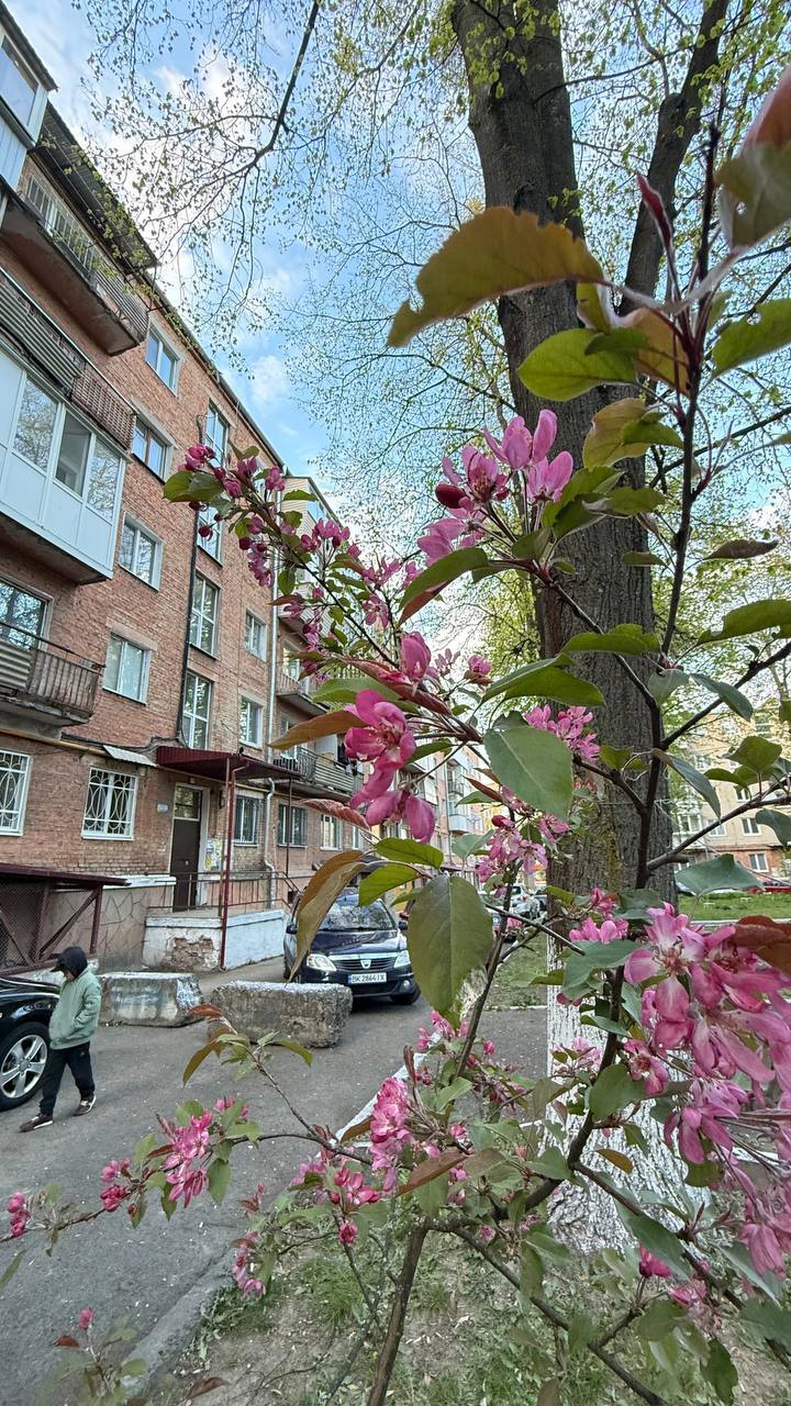 Продажа 2-комнатной квартиры 44 м², Генерала Безручко ул., 12