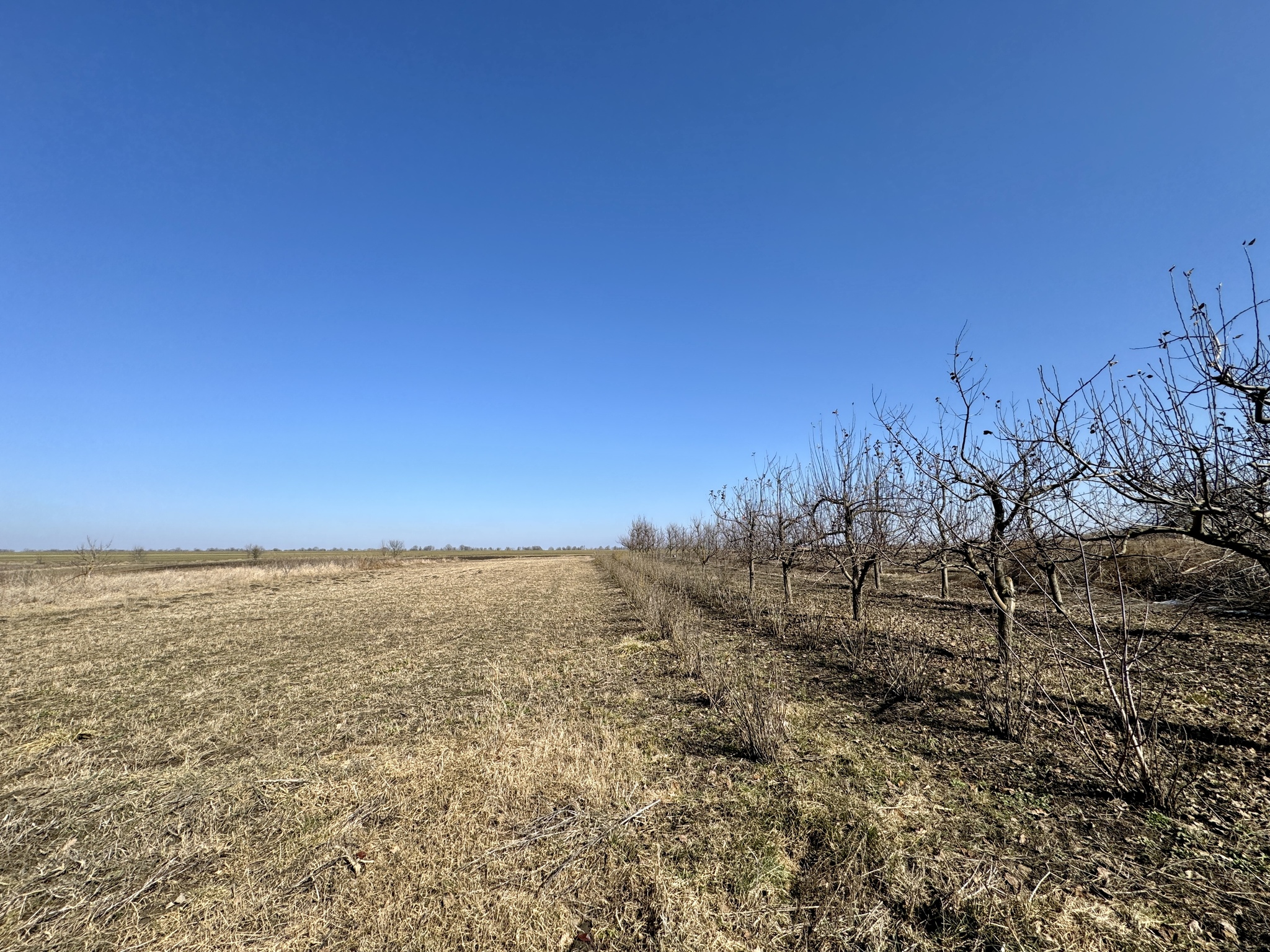 Продаж будинку 461 м²