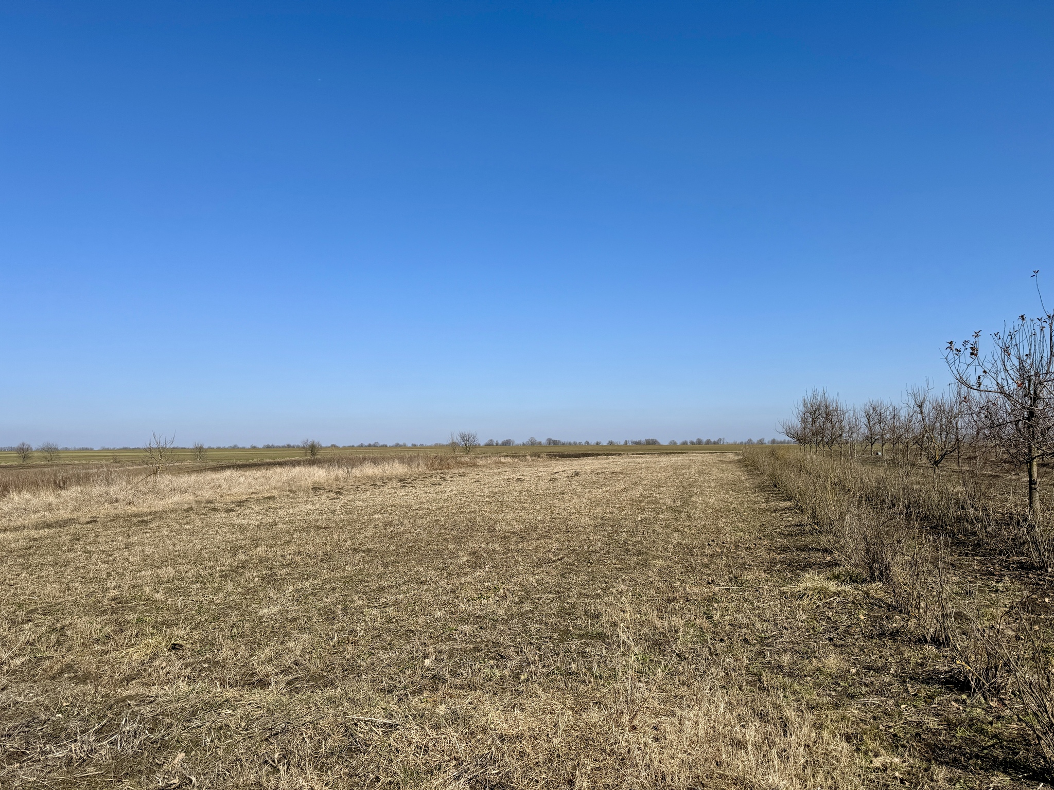 Продаж будинку 461 м²