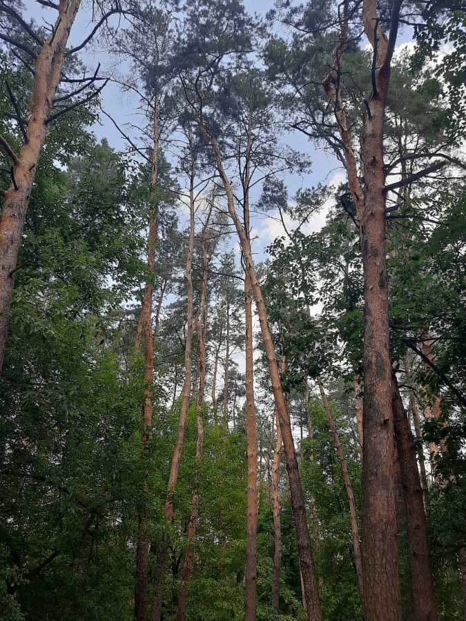 Оренда 1-кімнатної квартири 45 м², Олевська вул., 7