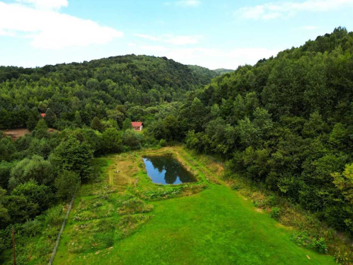 Продажа участка для личного сельского хозяйства 44 соток