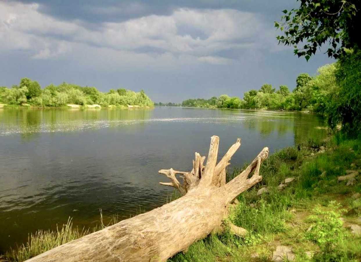 Продаж будинку 146 м², Міжріччя